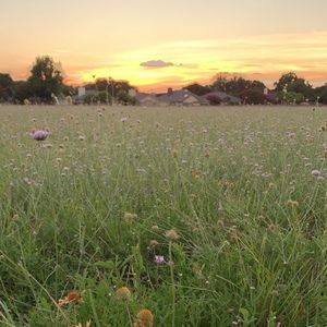 Meet your Posher, Kathryn